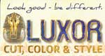 Luxor cut, color & style